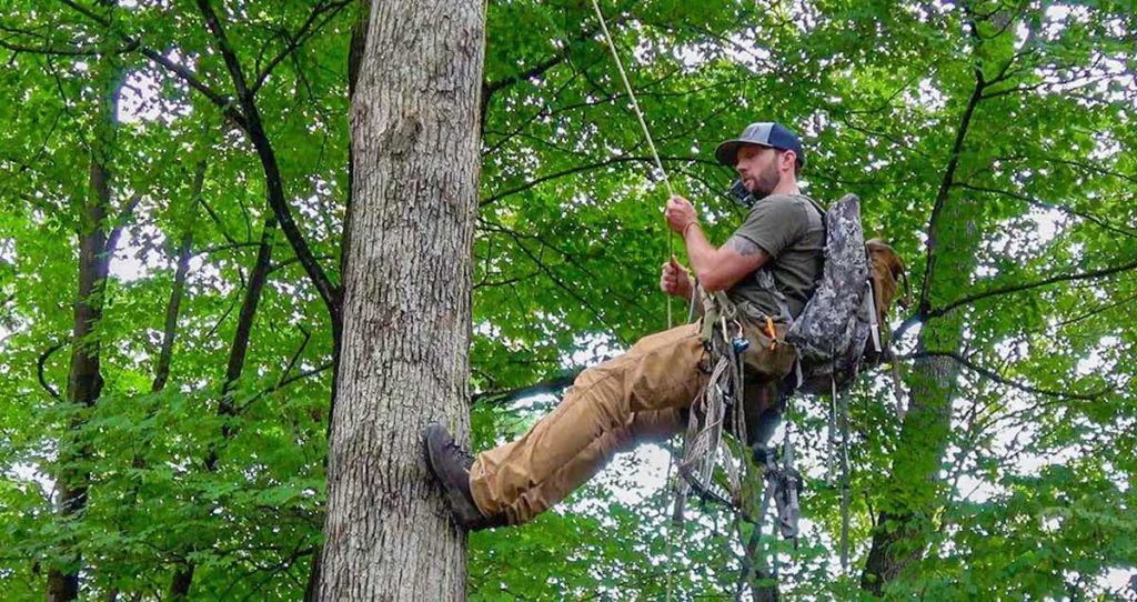 A saddle hunter using the one stick method to descend from a tree.