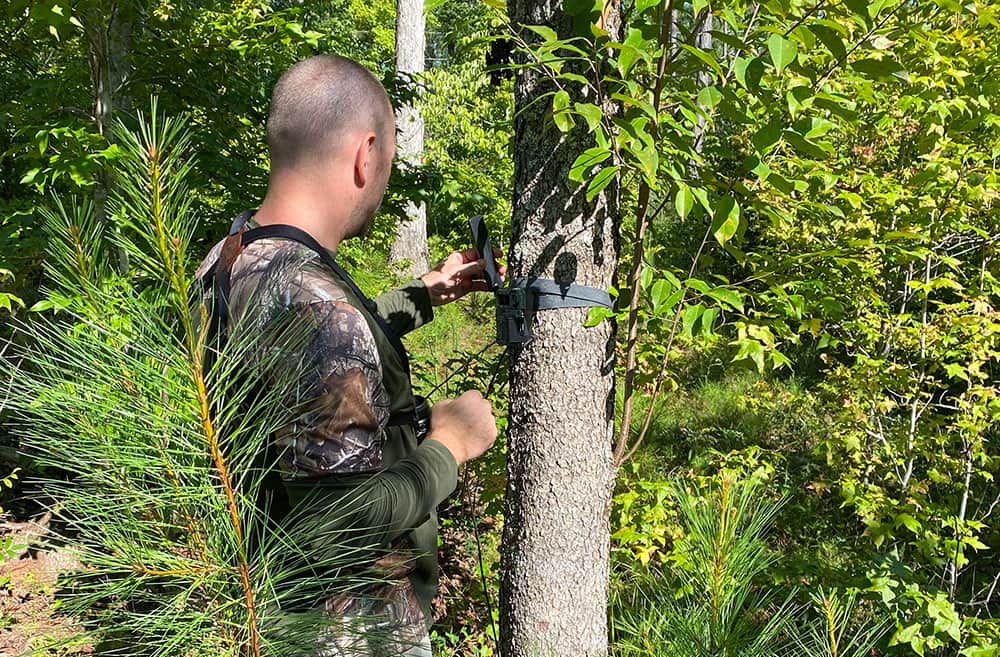A deer hunter hanging a trail camera prior to deer season.